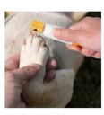 Lima Para Uñas Eléctrico Perros Gatos Mascotas SA-2103 - Imagen 3
