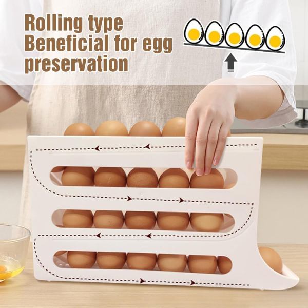 Organizador de huevos A5452 - Imagen 2