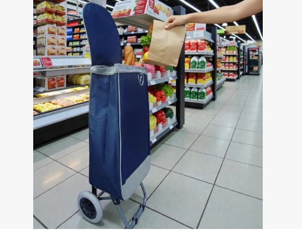 Carro De Mercado En Lona Plegable Carrito De Compras GWC-3C - Imagen 2