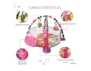 Gimnasio Musical, Didactico Y Piscina De Pelotas. Corral  668-33  - Imagen 3