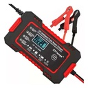 Cargador de bateria inteligente de bateria INP-12V