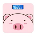 6026 - BASCULA DE CERDITO
